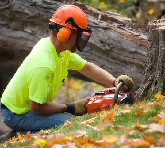 tree services Bridger